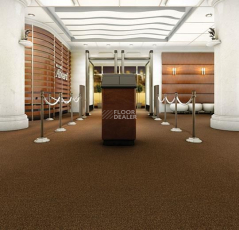 Forbo Coral Marine FR 4226 Tanger Brown фото 2 | FLOORDEALER